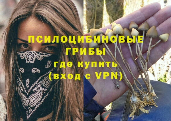 spice Балабаново
