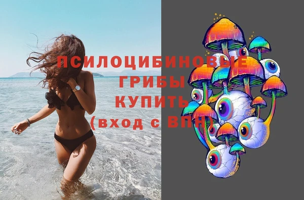 spice Балабаново