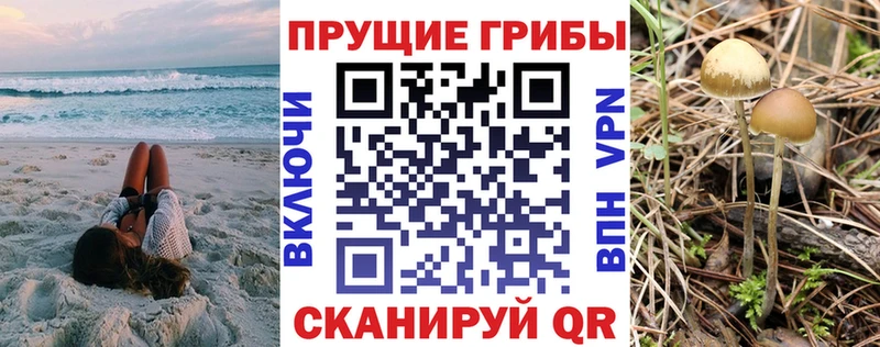 Псилоцибиновые грибы GOLDEN TEACHER hydra онион Кушва